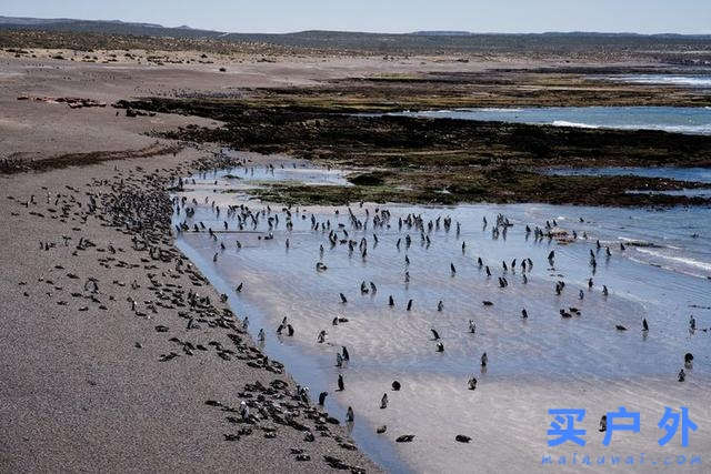 南美智利及阿根廷，踏上巴塔哥尼亚Patagonia之路的背包旅行