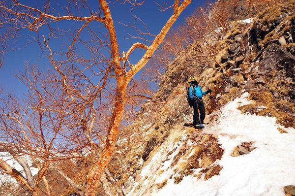 户外登山迷路或是掉队了，到底该怎么办?