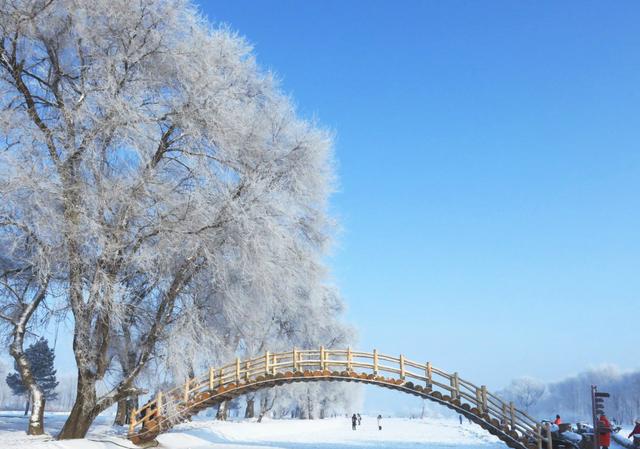 雾淞岛，此生看过最美的雪景