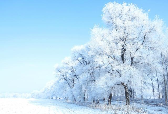 雾淞岛，此生看过最美的雪景