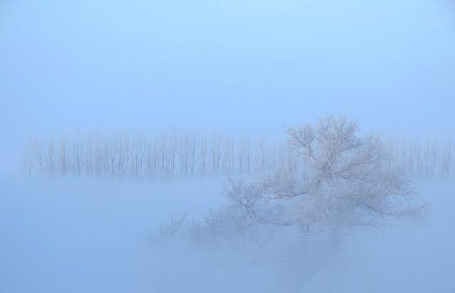 雾淞岛，此生看过最美的雪景