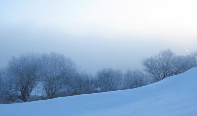 雾淞岛，此生看过最美的雪景