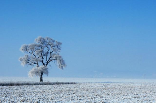 雾淞岛，此生看过最美的雪景