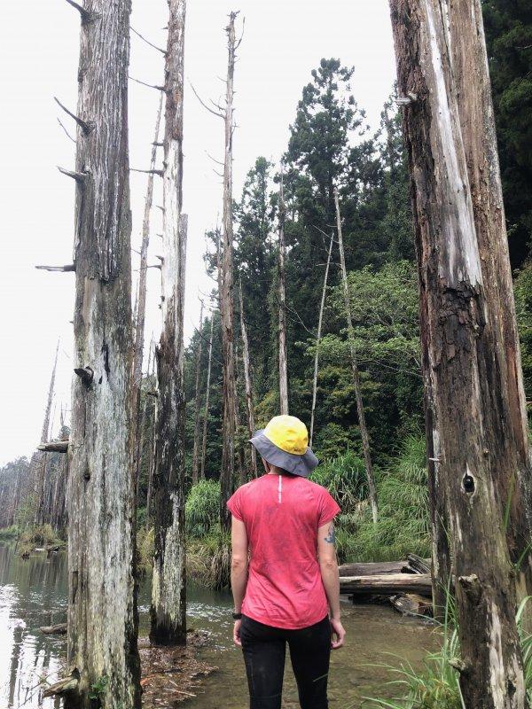 实测Odlo奥递乐圆领防晒短袖，一件适合夏季运动穿着的T恤