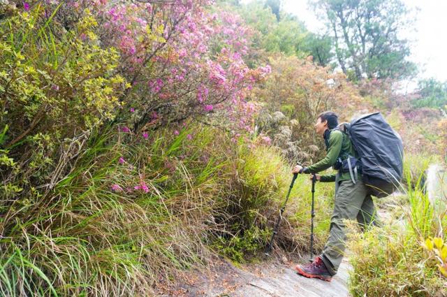 购买户外登山鞋的新选择,猛犸象Mammut高帮防水登山鞋测评