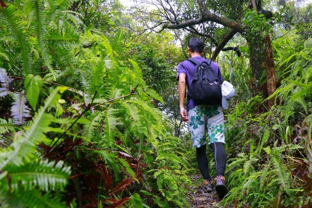 登山还是要穿登山鞋,KEEN户外登山鞋测评