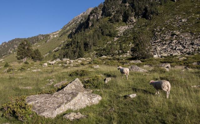 体验法国人的度假天堂,法国南部比利牛斯山登山一日行