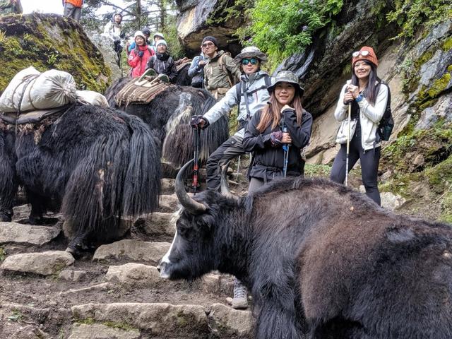 登山鞋选择的历程,为何是这双萨洛蒙(Salomon)户外鞋