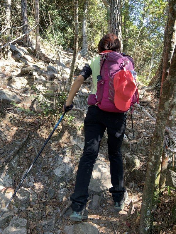 我用过的这款登山杖,FIZAN超轻三节式登山杖实测