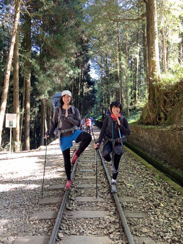 我用过的这款登山杖,FIZAN超轻三节式登山杖实测