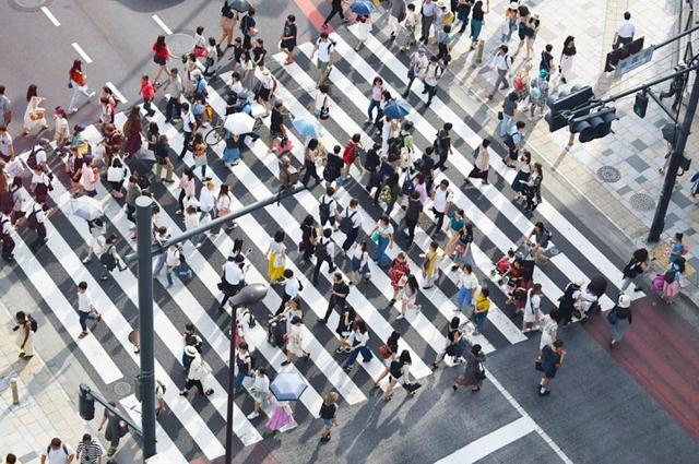 日本东京自由行,新手必看东京自助游攻略行程